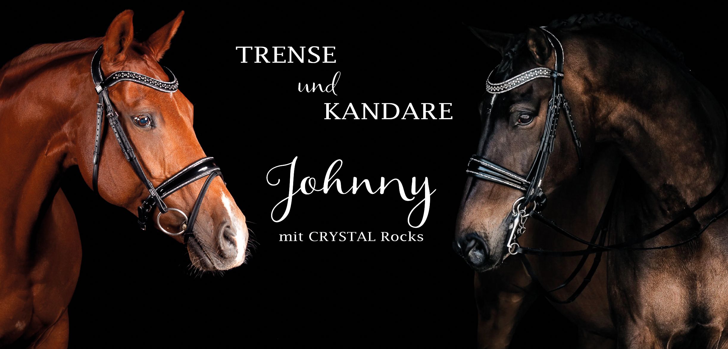 Trense Johnny