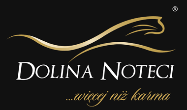 DOLINA