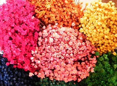 dyed dried flowers