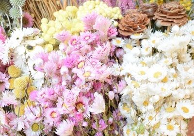 new dried flowers