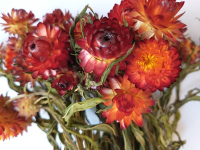 uk dried flower bunch