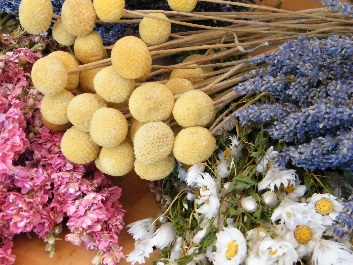 Wholesale dried flower bunches