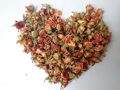 wholesale dried rose