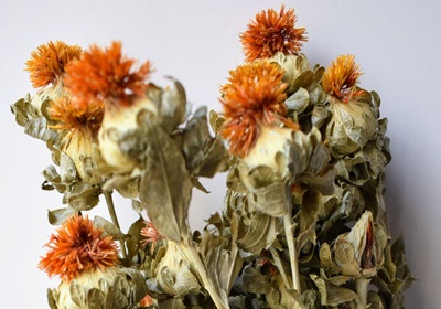 orange dried flowers