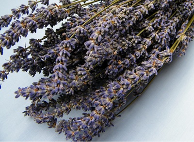 blue dried flowers