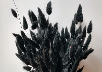 black dried flowers