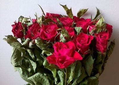 red dried flower bunch