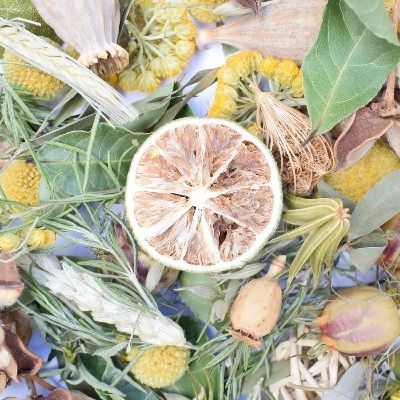 buy citrus home fragrance products