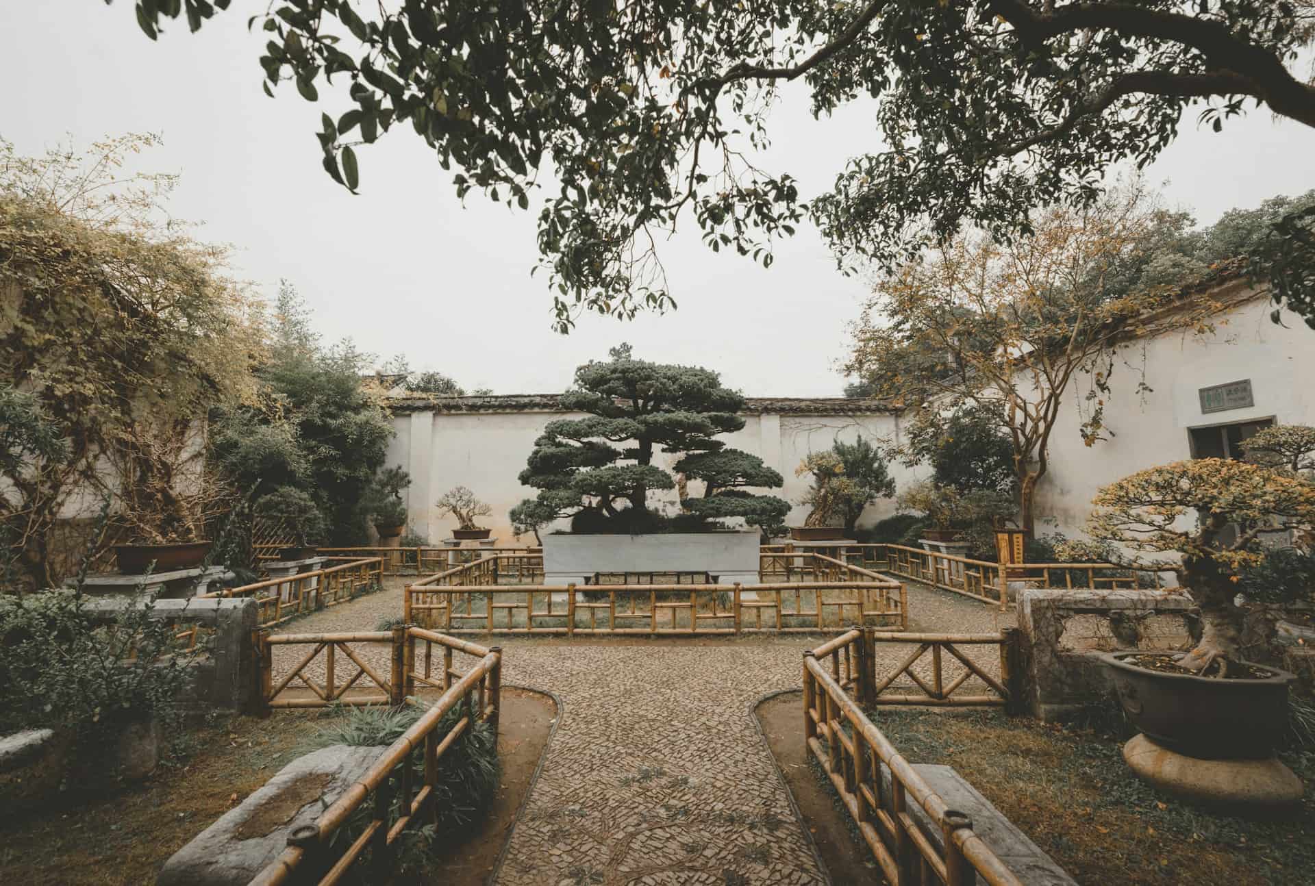 bonsai garten