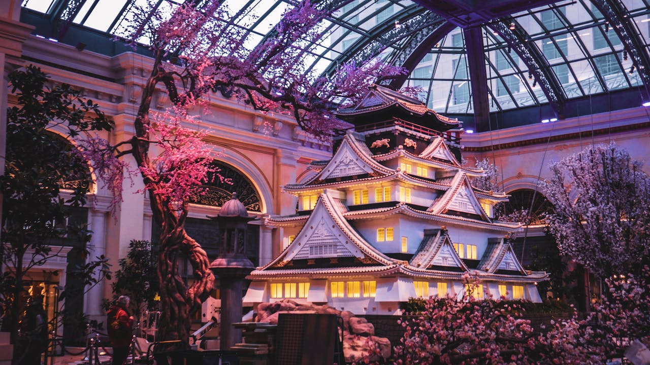 bonsai festival