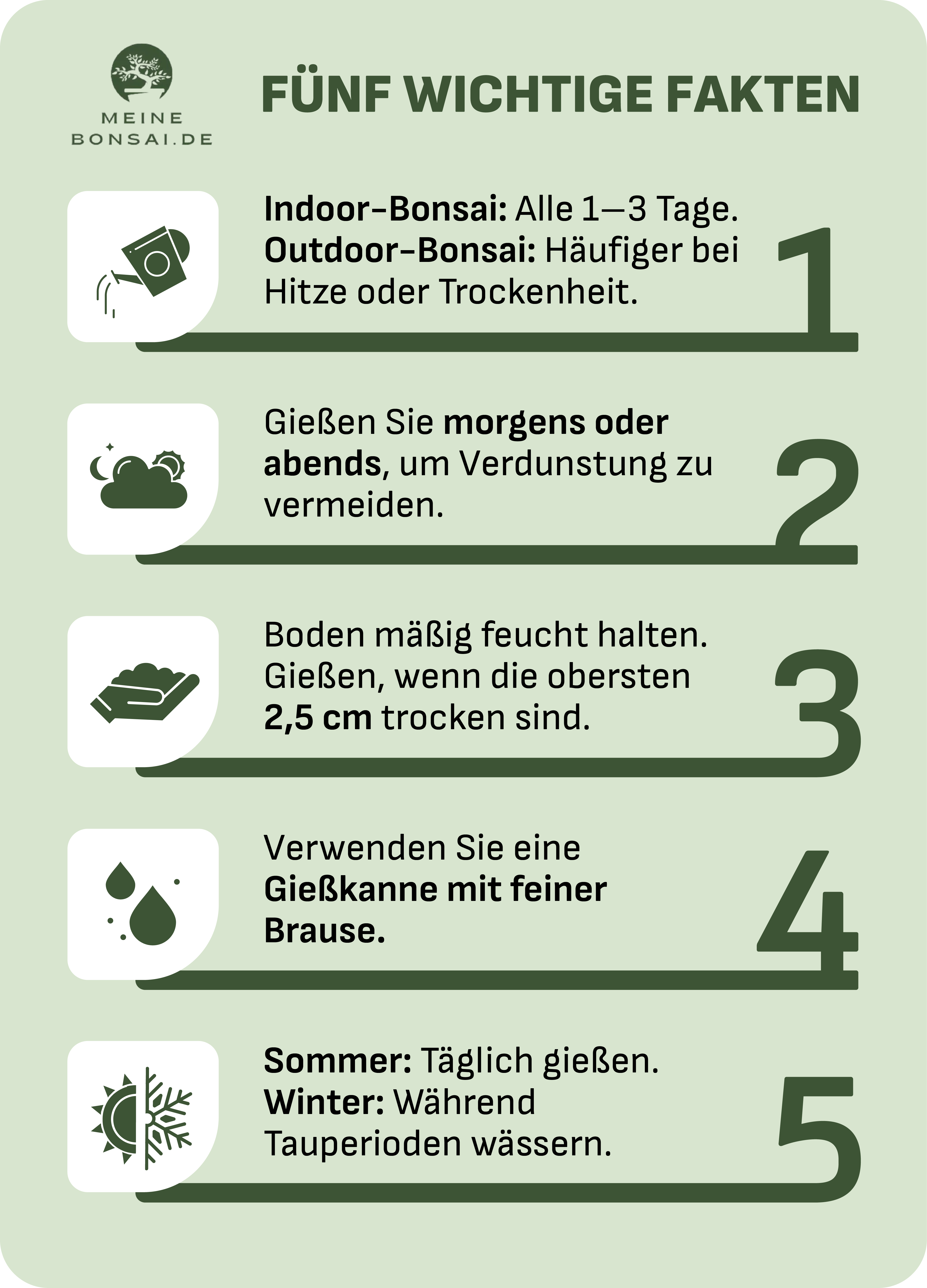 bonsai giessen infografiken