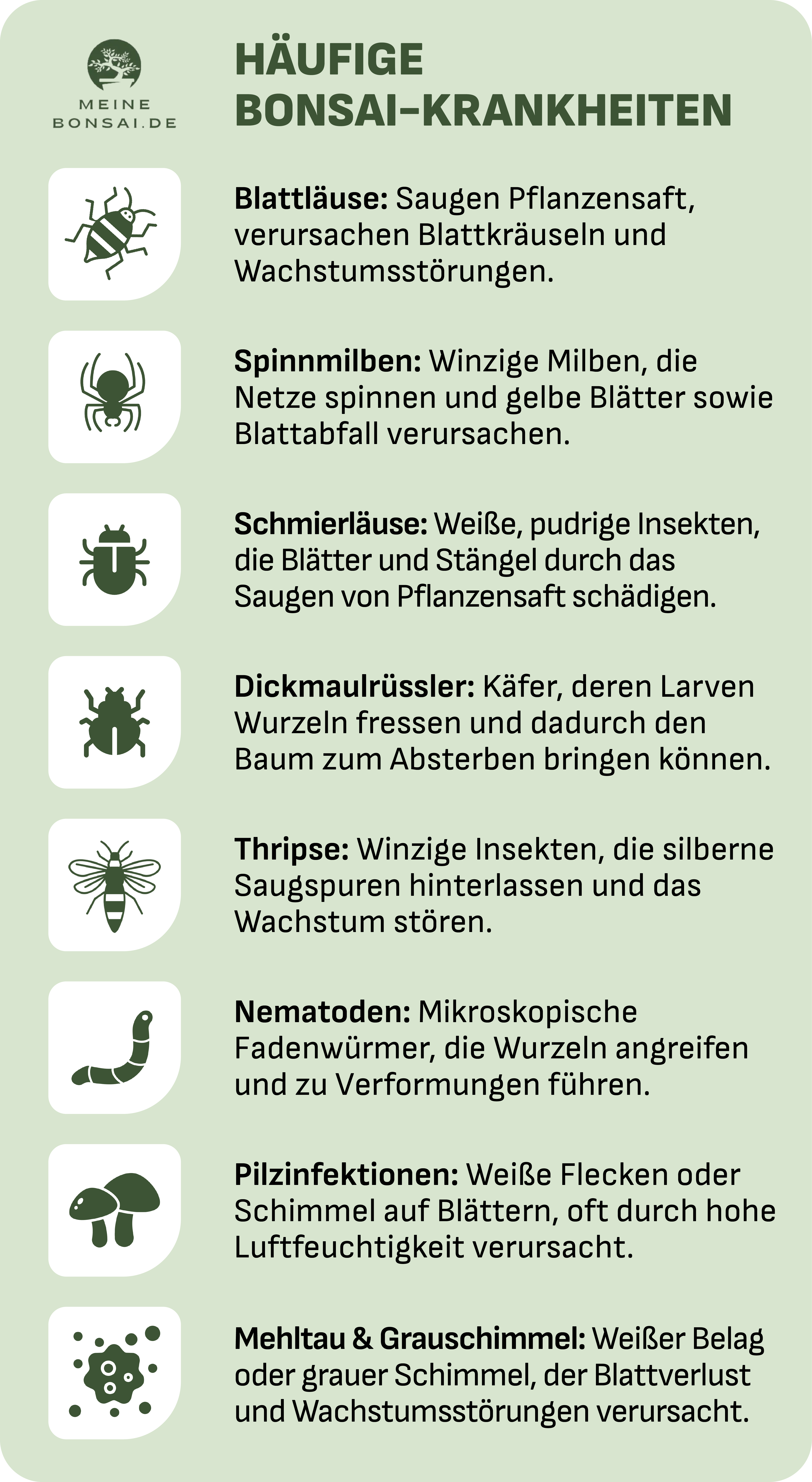 Bonsai Schädlinge und Krankheiten