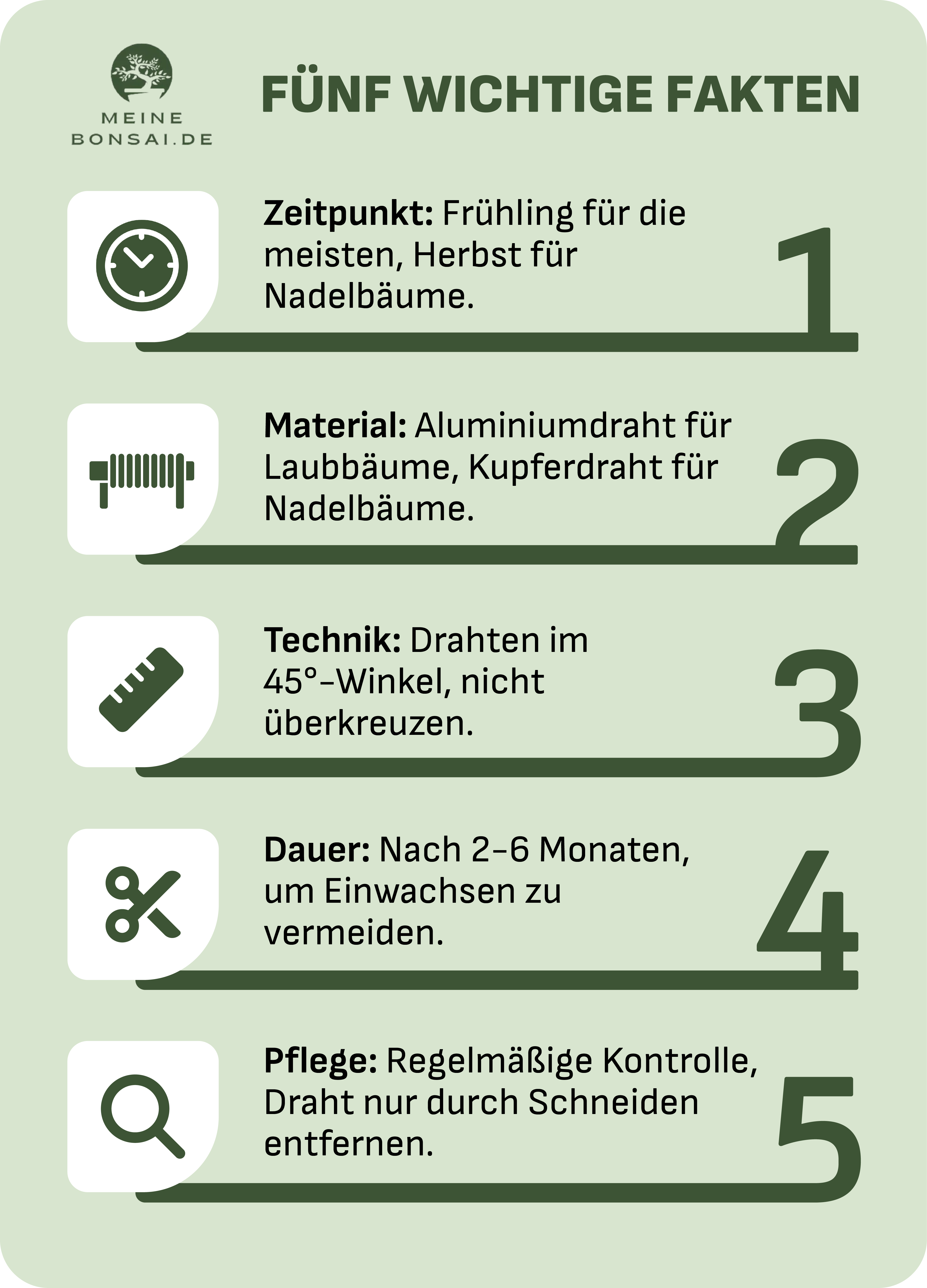 bonsai drahten infografik