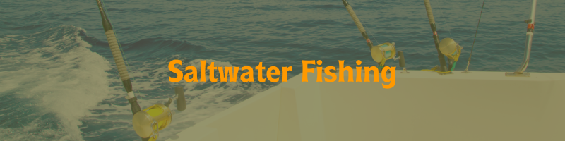 Shop Saltwater Fishing Gear