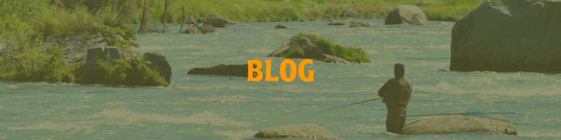 Blog