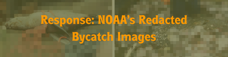 public statement- redacted bycatch images