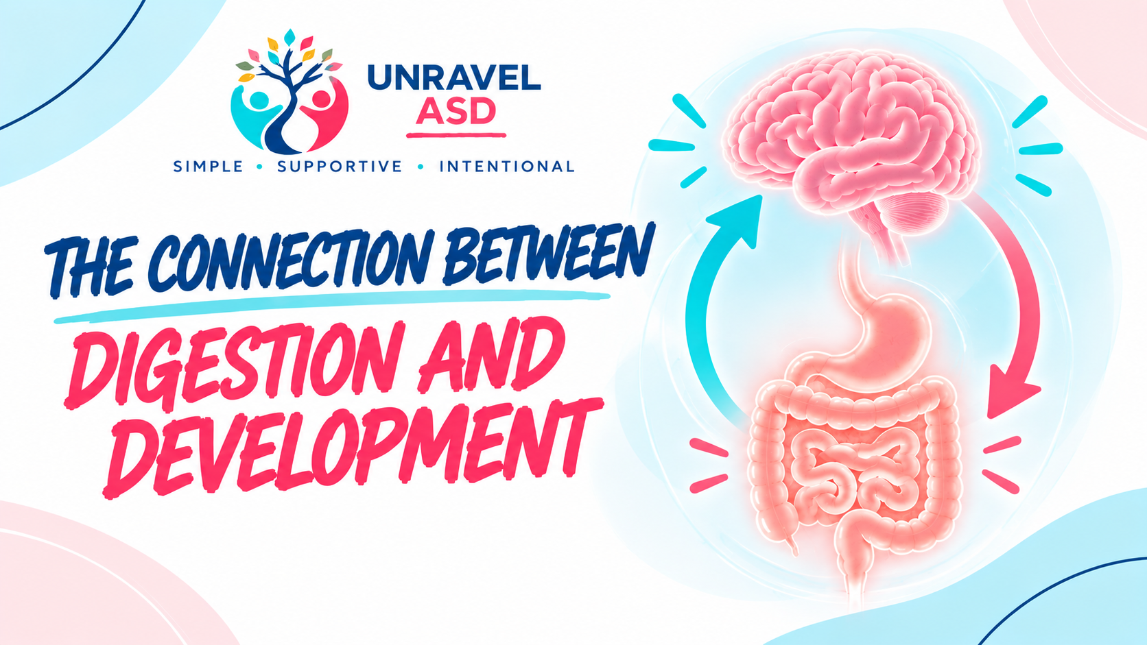 Gut-brain connection between digestion and child development
