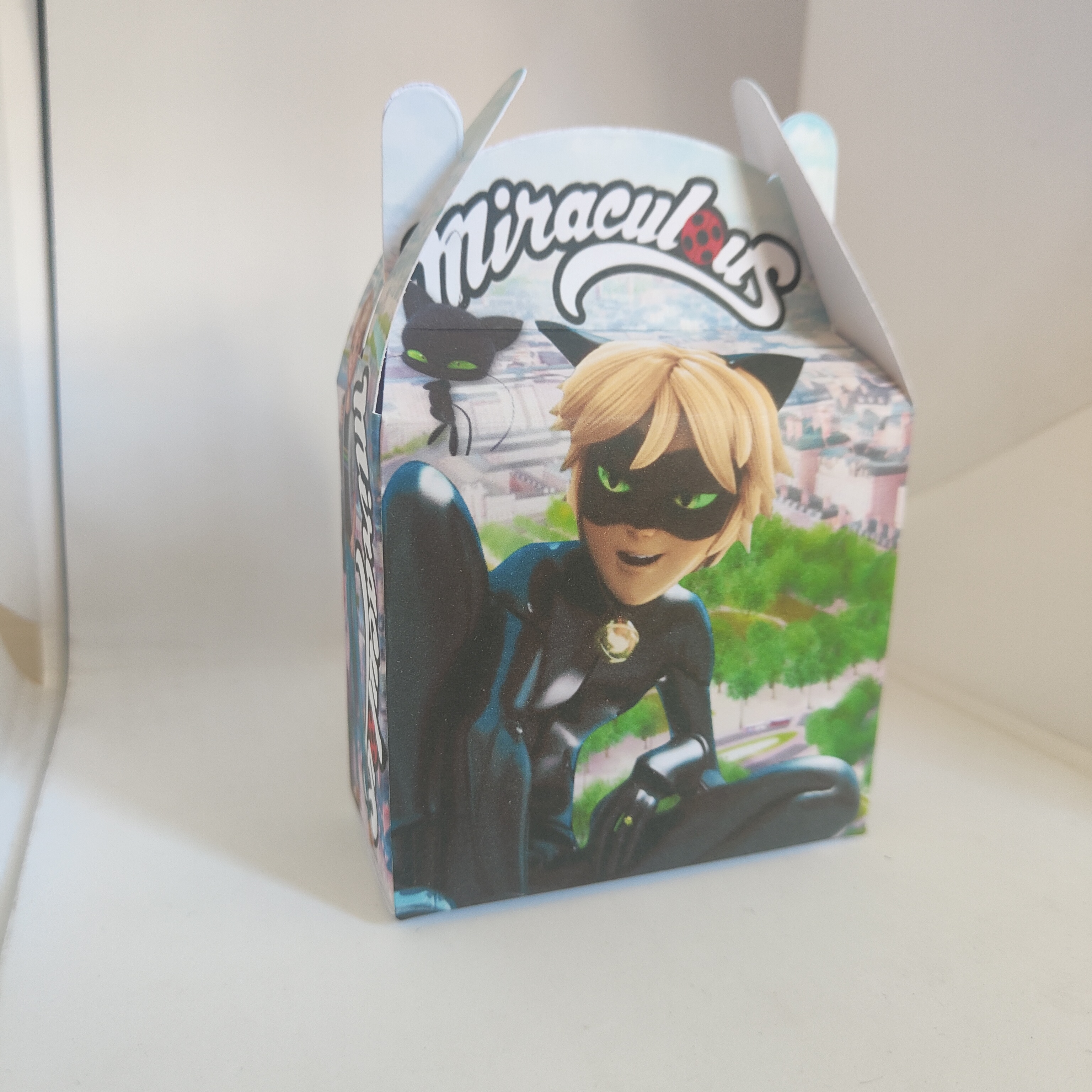 Scatoline Miraculous personalizzate festa compleanno a tema chatnoir e ladybug