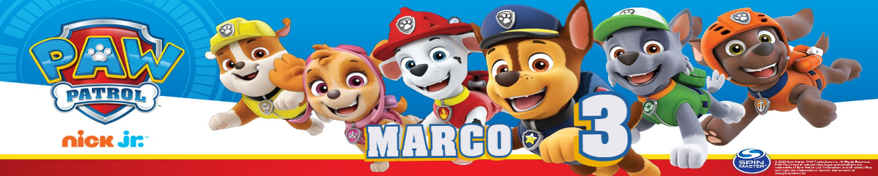 etichette adesive bottiglia bottigliette acqua personalizzabile con nome kit festa compleanno paw patrol