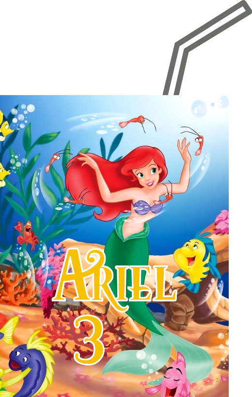 adesivi brick succo di frutta 200 ml valfrutta personalizzate ariel sirenetta