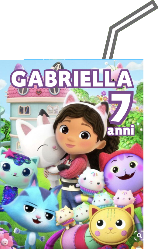 Gabby's dollhouse casa delle bambole etichette adesivi succo di frutta brick bottiglietta 