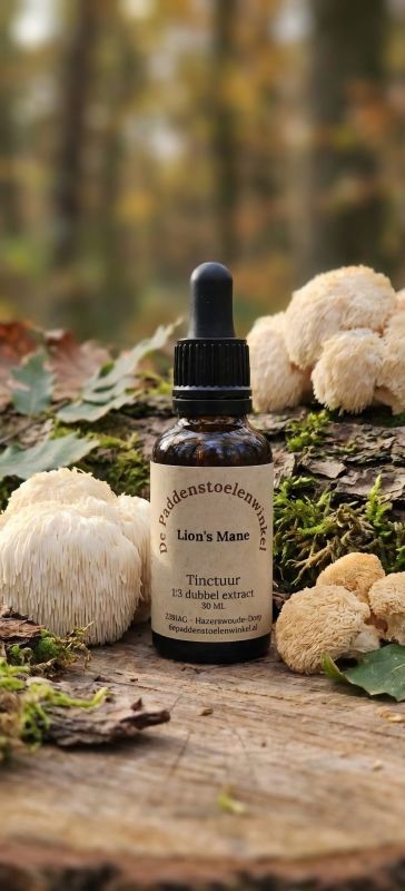 Lion's Mane Tinctuur