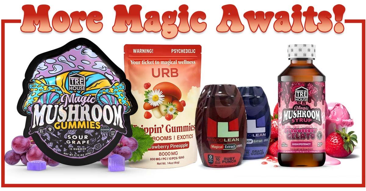 Shop Mushroom Gummies, Chocolates, Syrups, and Mycolean Magic Mushroom Water Enhancer.