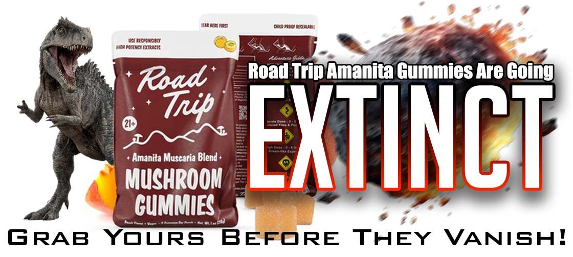 Road Trip Amanita Muscaria Gummies Get Them Before They're Gone