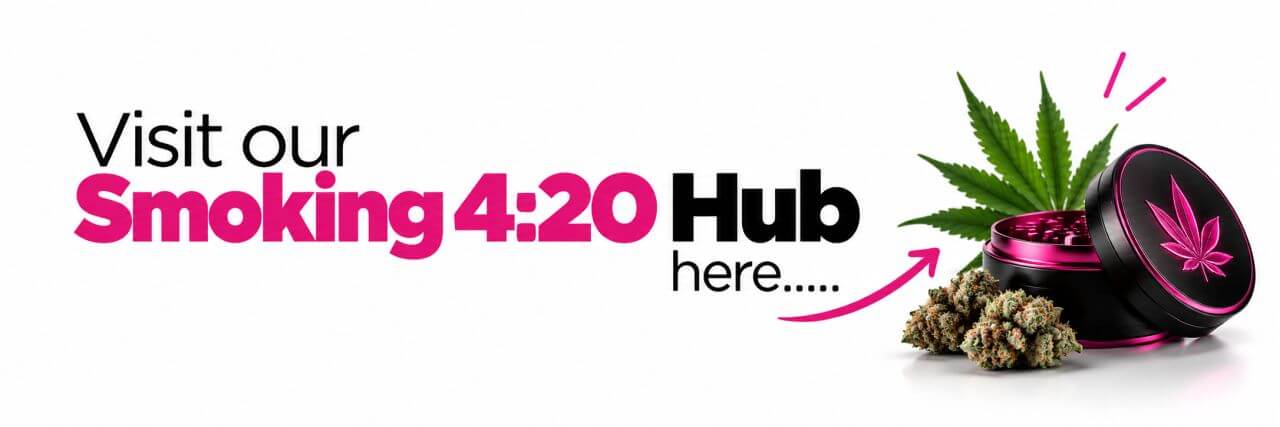 Visit the MoodTime 4:20 Hub for comprehensive cannabis culture guides, smoking accessory details, educational articles, tips and frequently asked questions.