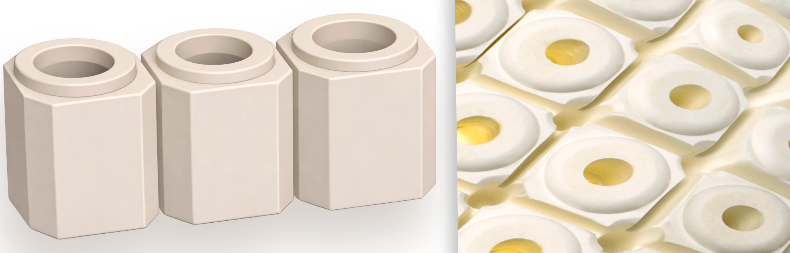 Bio Comfort capsule architecture