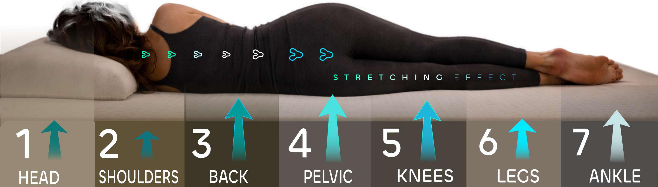 Bio Comfort Dual Plush seven-zone system