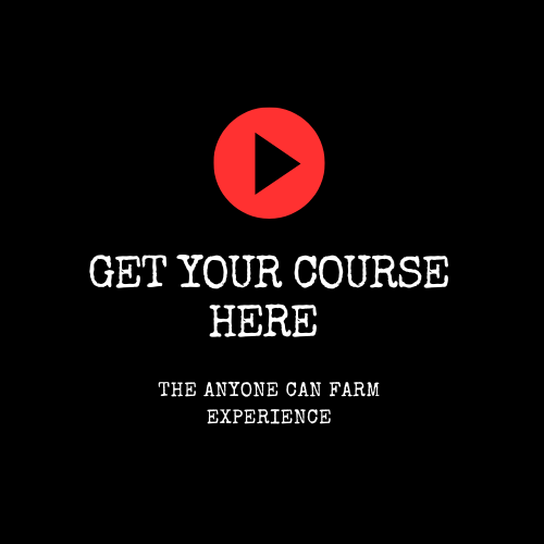 course link