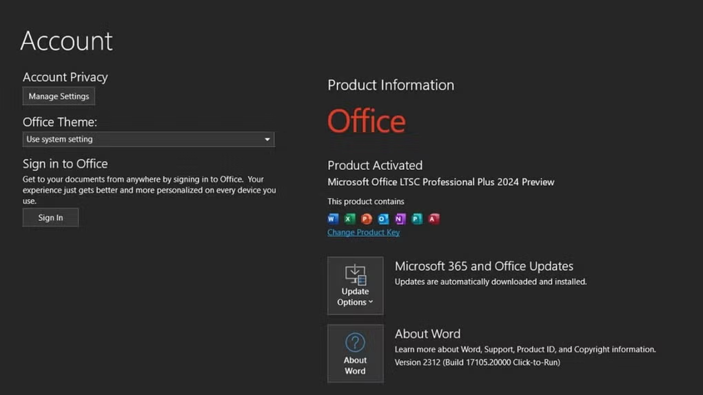 Licence Office 2024 Professional Plus pour la productivité