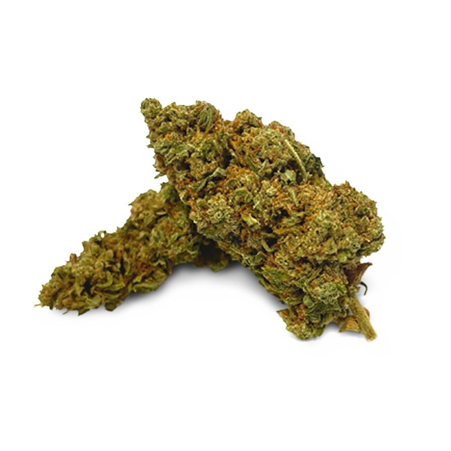 slh