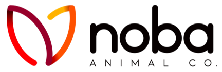Noba Logo