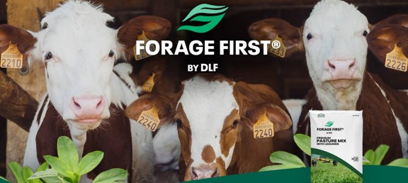 Forage First by DLF Logo