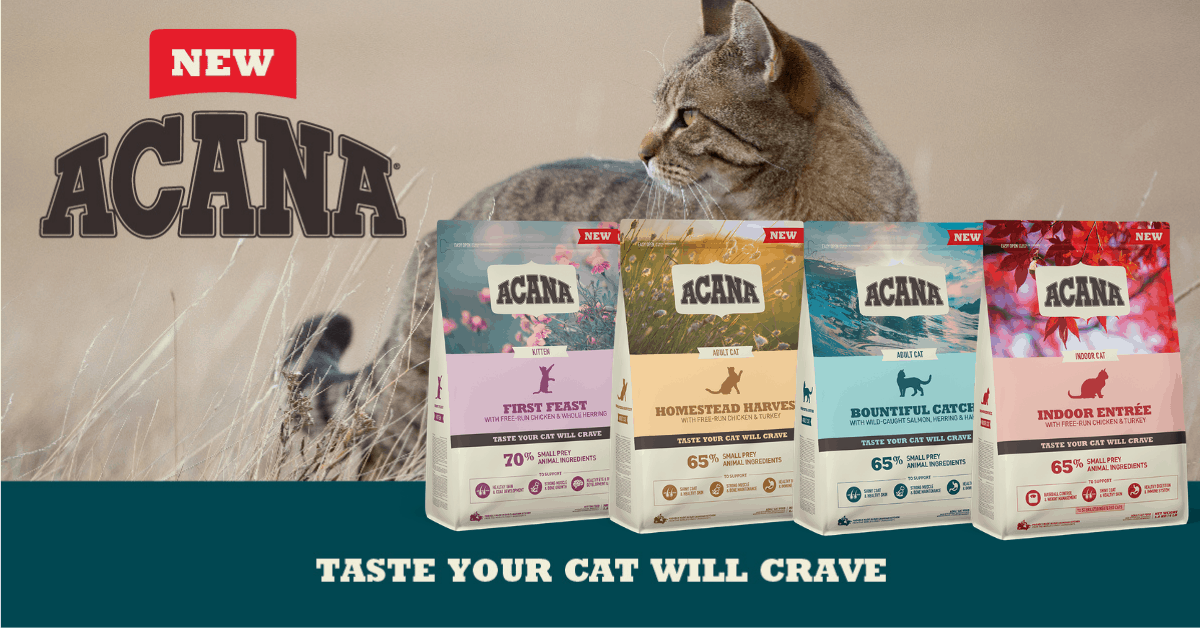 Acana Cat Food