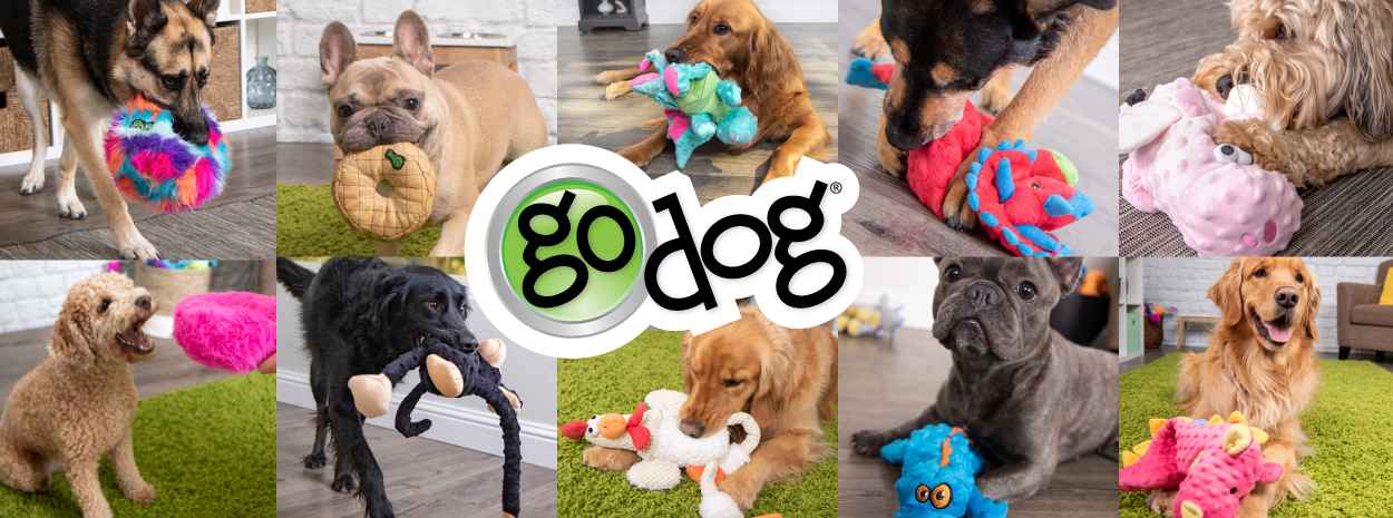Logo GoDog