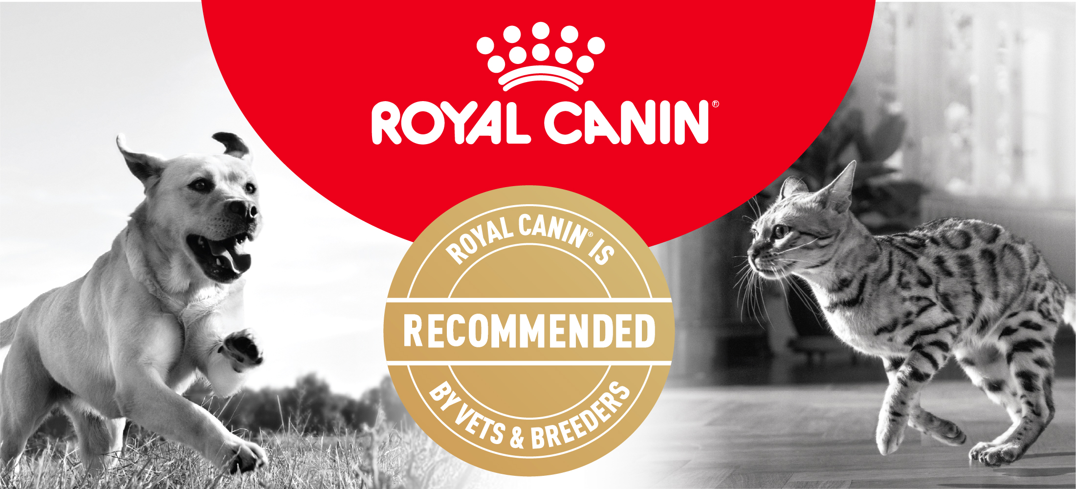 Royal Canin Logo
