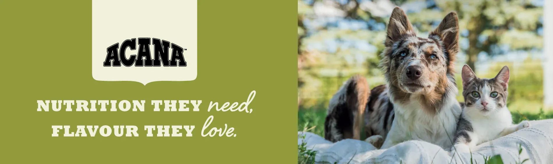 Acana Pet Food Logo