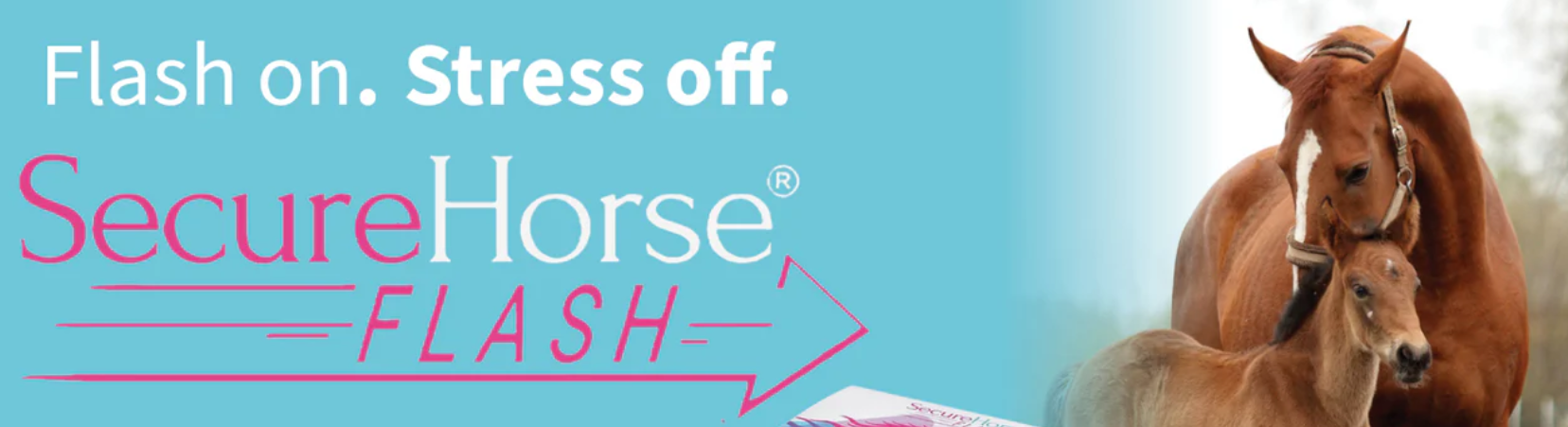 Secure Horse Flash Logo