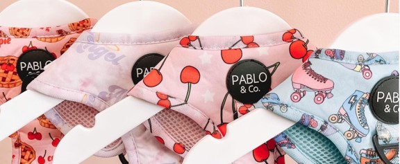 Pablo & Co Logo