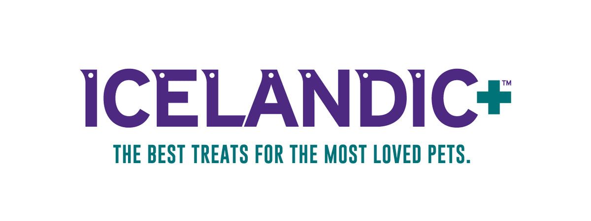 Icelandic+ Logo