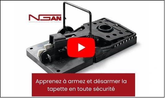 mode-emploi-tapette-rat-professionnelle