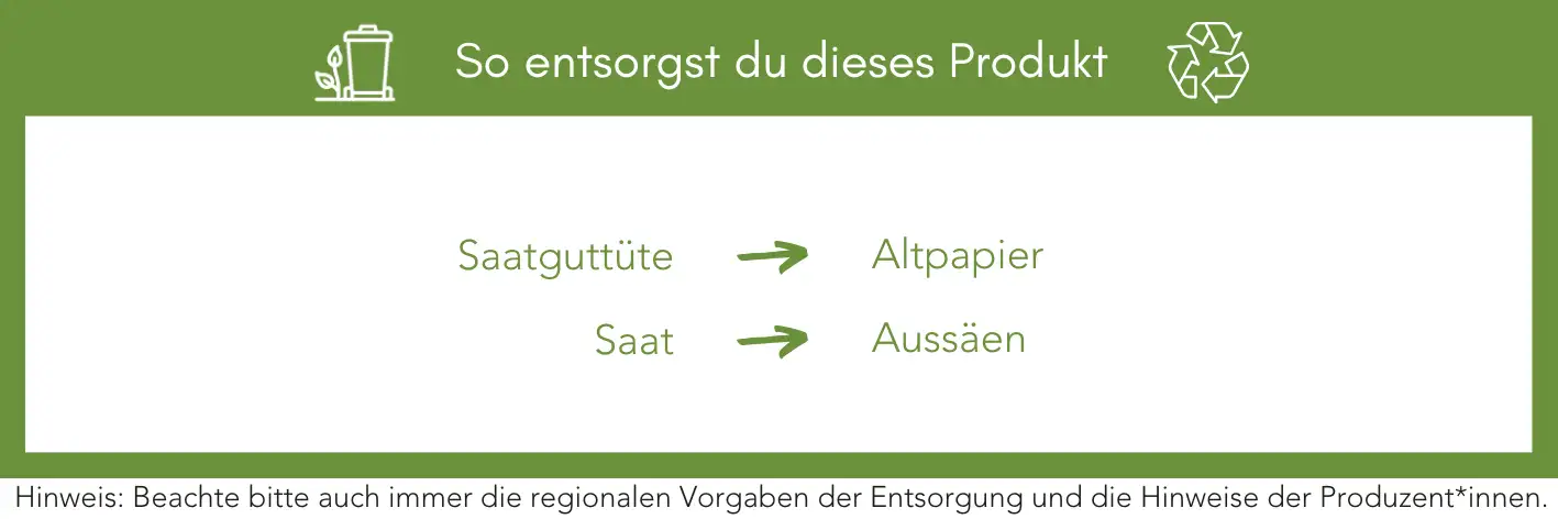 Produktentsorgung Recycling Müll Abfall