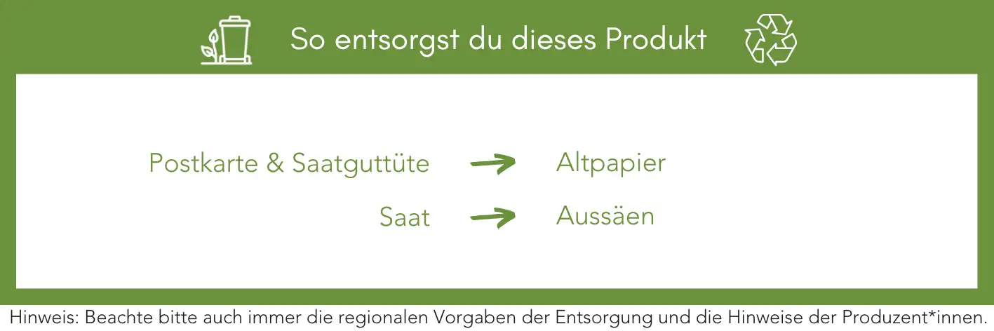 Produktentsorgung Recycling Müll Abfall