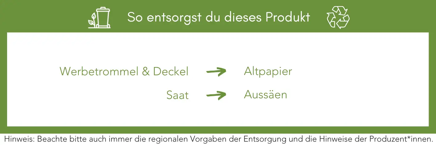 Produktentsorgung Recycling Müll Abfall