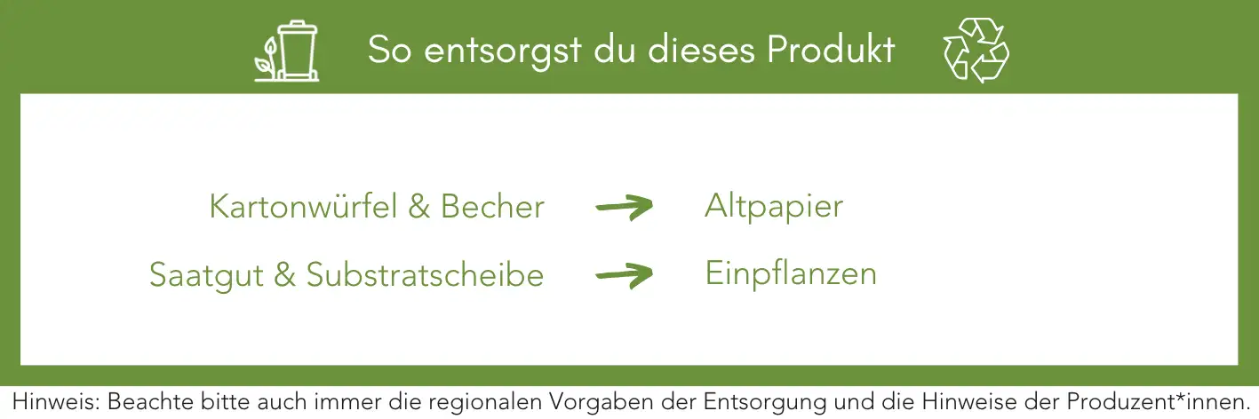 Produktentsorgung Recycling Müll Abfall