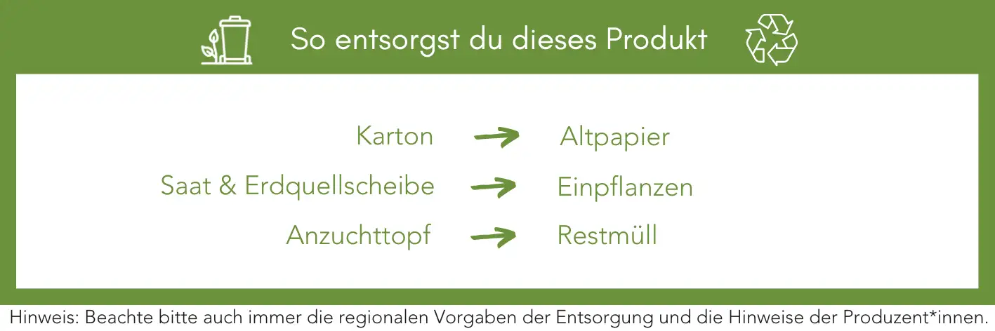 Produktentsorgung Recycling Müll Abfall