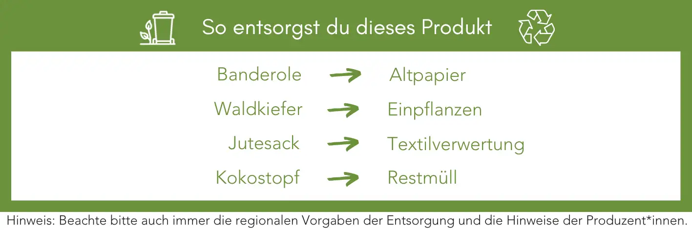 Produktentsorgung Recycling Müll Abfall